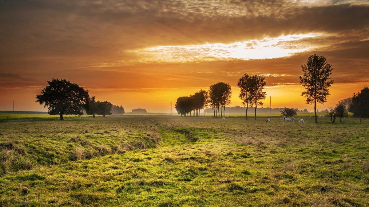 Doğa Yürüyüşü (Trekking) İçin Çantada Olması Gerekenler
