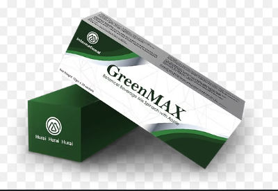 greenmaxturkiye logo