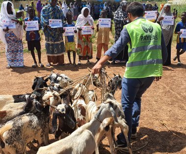 Paylaş’tan Burkina Faso' da süt keçisi dağıtımı